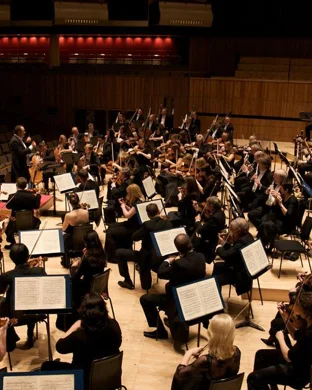 National Symphony Orchestra: Home Alone in Concert