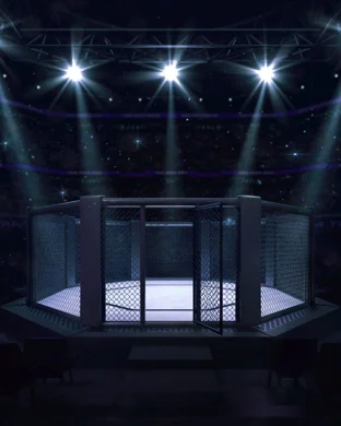 UFC Freedom 250 Fan Fest