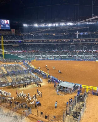 Rodeo at the Anne