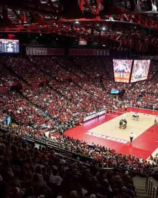 Utah Utes Women's Volleyball vs. Cincinnati Bearcats